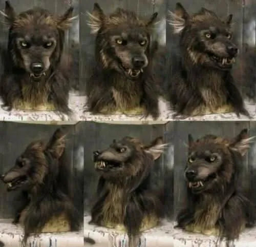Realistic Werewolf Mask for Halloween and Cosplay