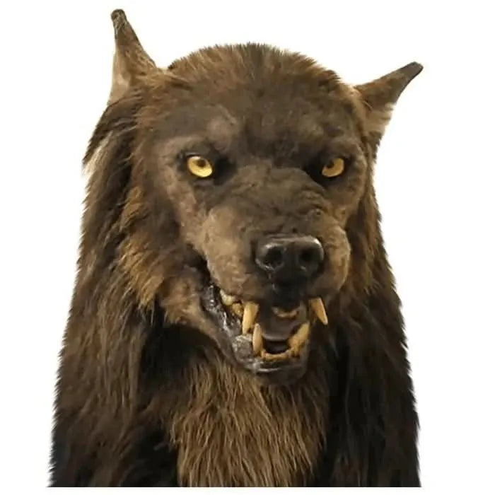 Realistic Werewolf Mask for Halloween and Cosplay