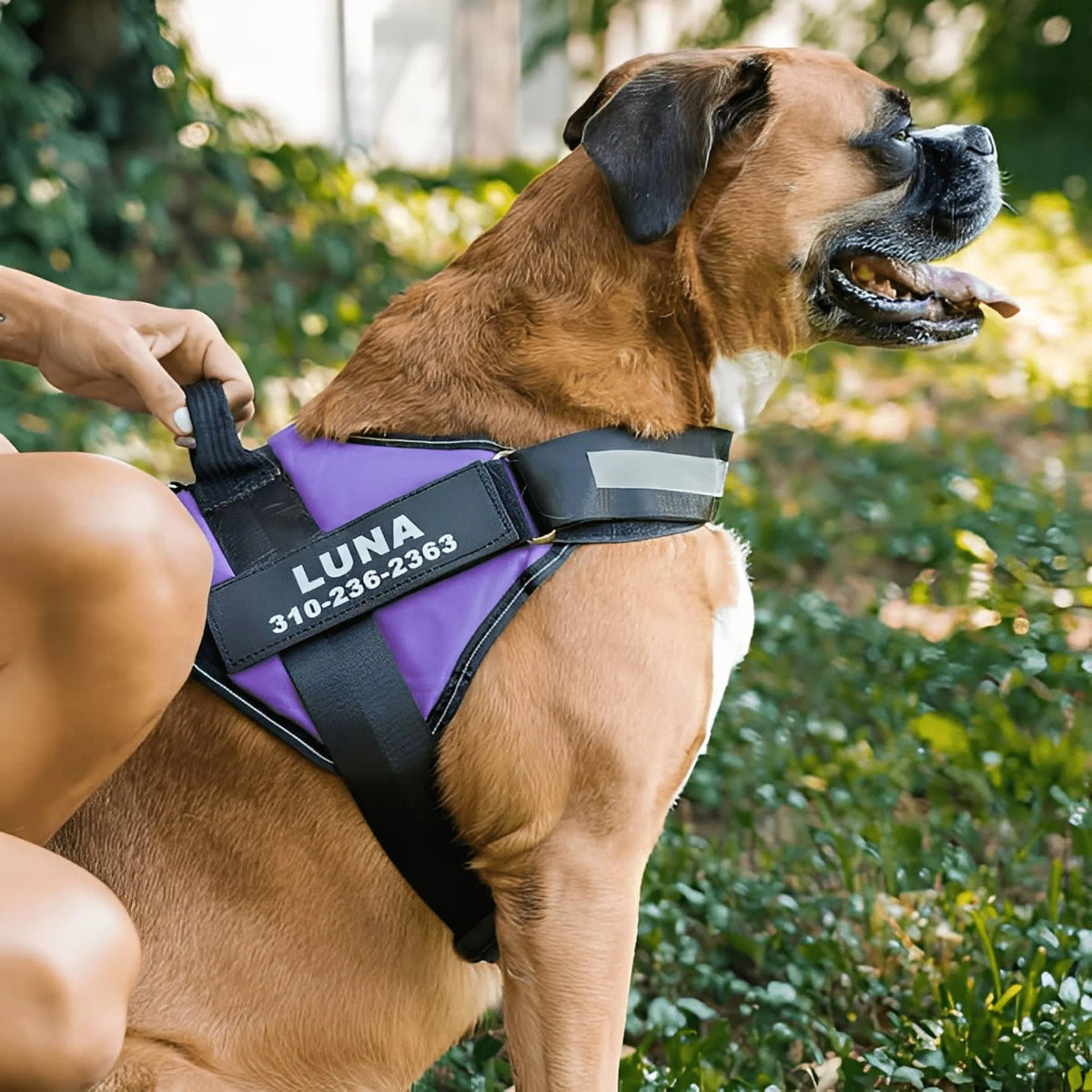 Reflective Dog Harness with Supportive Design