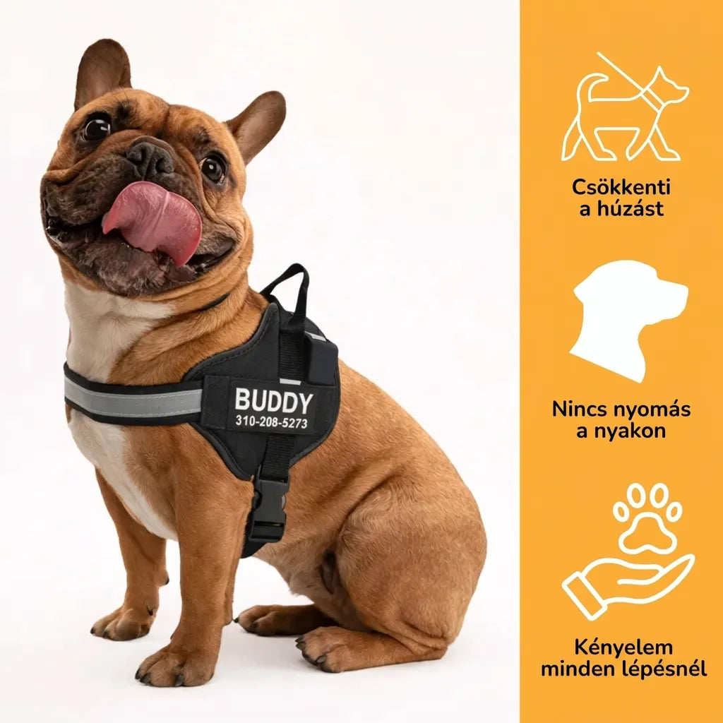 Reflective Dog Harness with Supportive Design