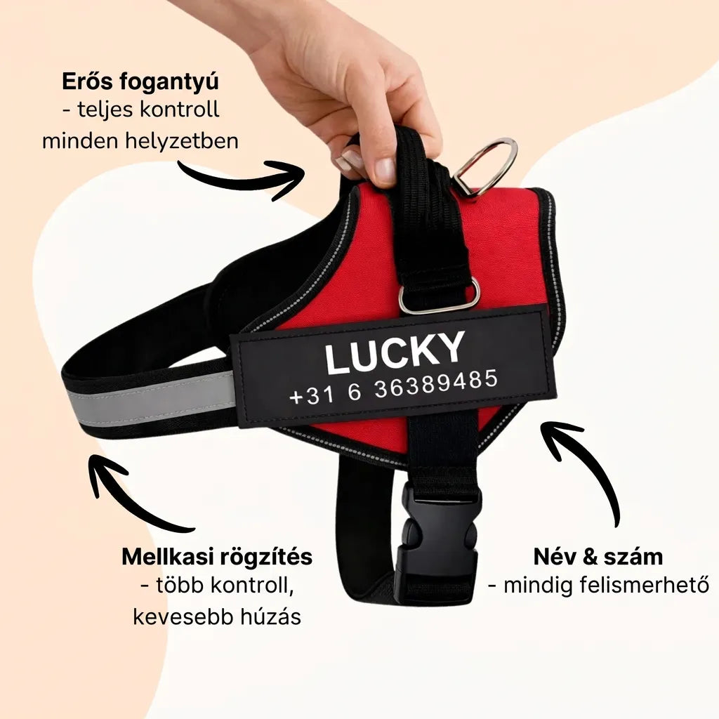 Reflective Dog Harness with Supportive Design