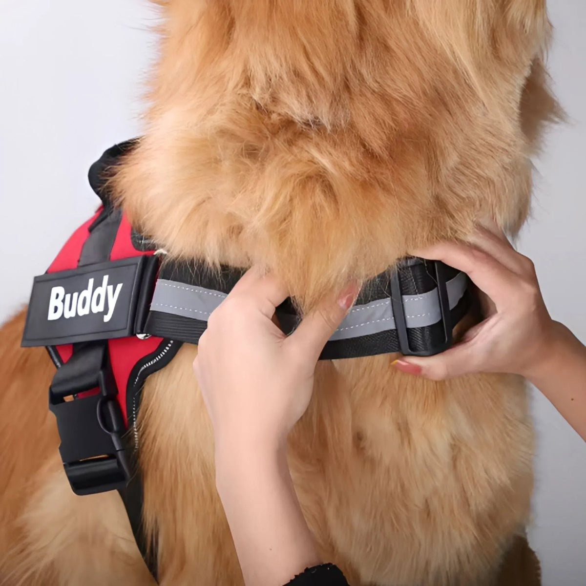Reflective Dog Harness with Supportive Design