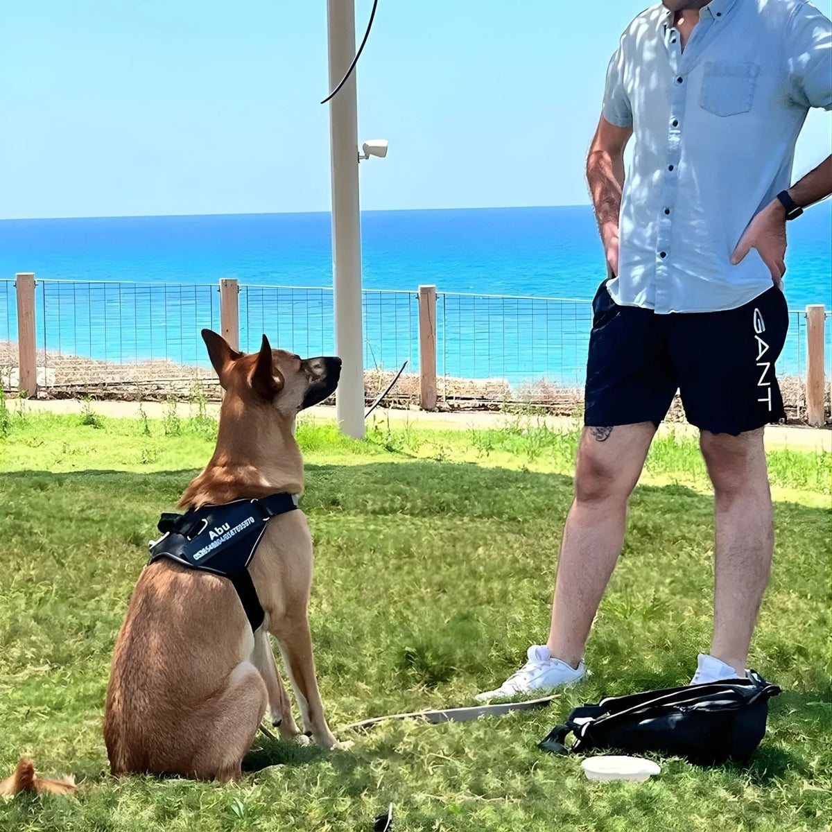 Reflective Dog Harness with Supportive Design