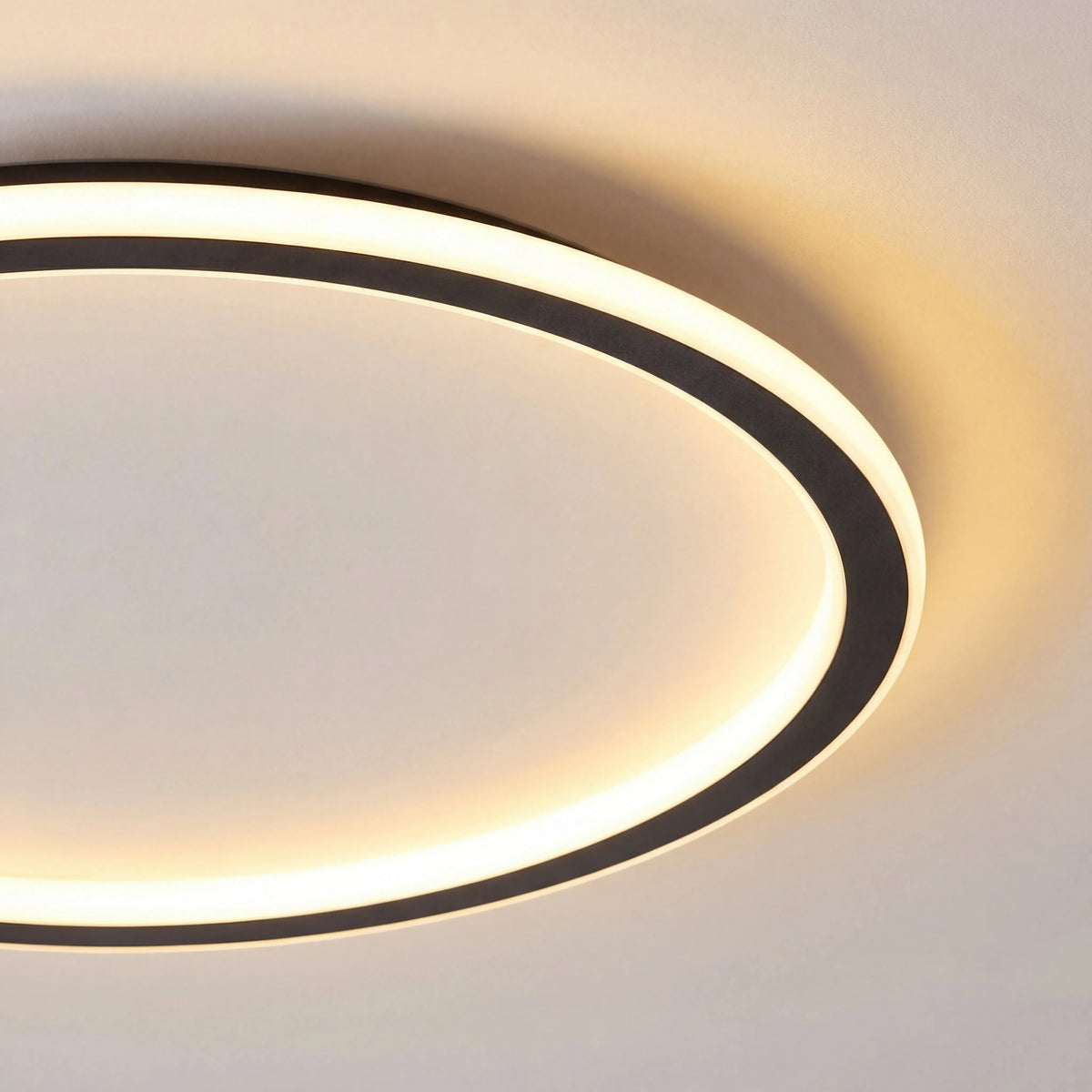 Round Scandinavian LED Ceiling Lamp with Remote Control