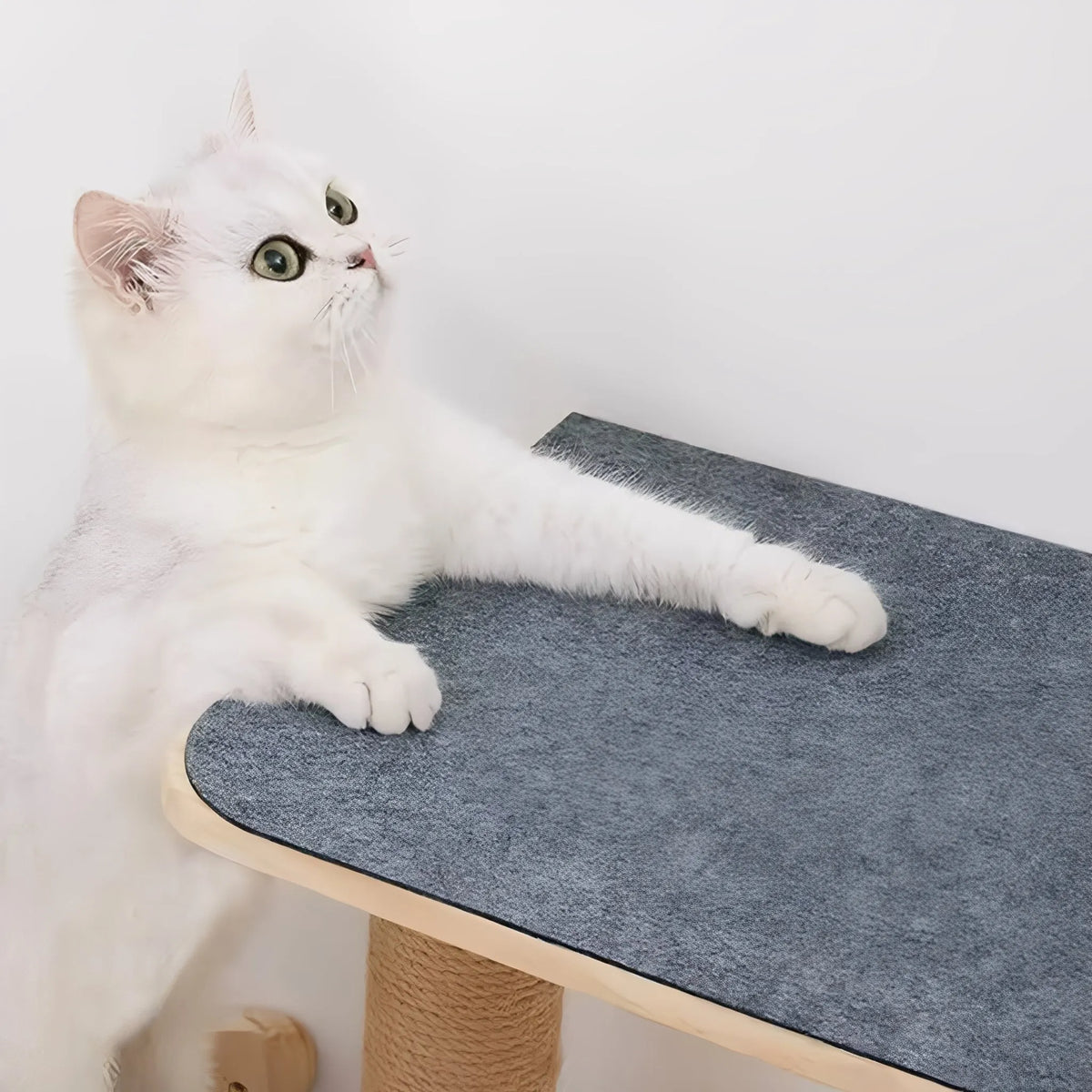 Self-Adhesive Cat Scratching Mat with Furniture Protector