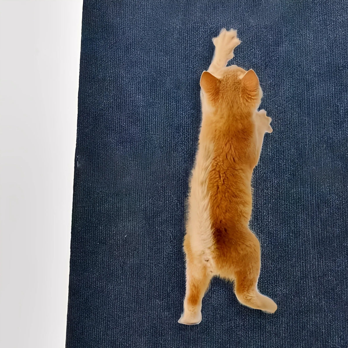 Self-Adhesive Cat Scratching Mat with Furniture Protector