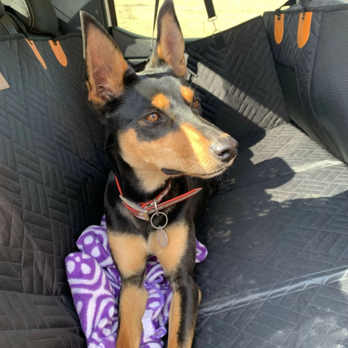 Waterproof Dog Backseat Extender with Memory Foam Bed