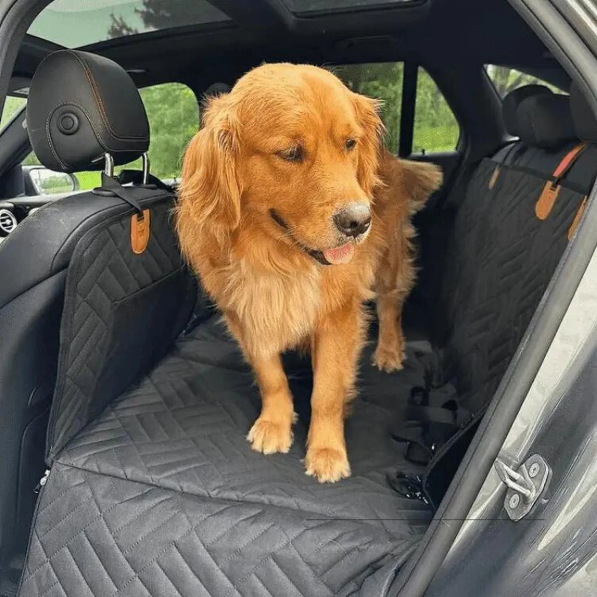 Waterproof Dog Backseat Extender with Memory Foam Bed